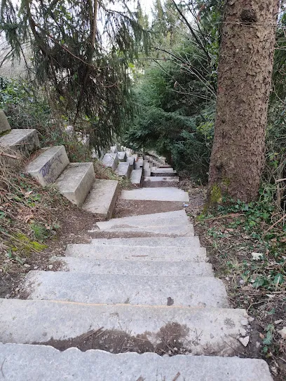 Image de Escalier des géants 1300 marches jusqu’à la plate-forme