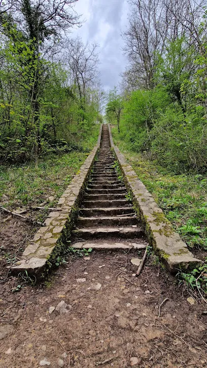 Image de Les escaliers