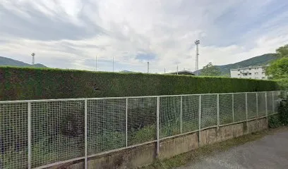 Image de Monte-escalier Installateur